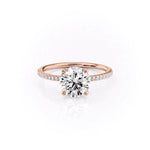 Load image into Gallery viewer, 2 CT Round Cut Pave Moissanite Diamond Ring