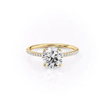 Load image into Gallery viewer, 2 CT Round Cut Pave Moissanite Diamond Ring