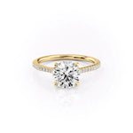 Load image into Gallery viewer, 2 CT Round Cut Classic Pave Setting Moissanite Diamond Ring