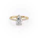 Load image into Gallery viewer, 1.0CT Pear Diamond Moissanite Pave Engagement Ring