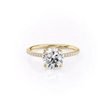 Load image into Gallery viewer, 2 CT Round Cut Pave Moissanite Diamond Ring
